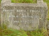 image of grave number 809121